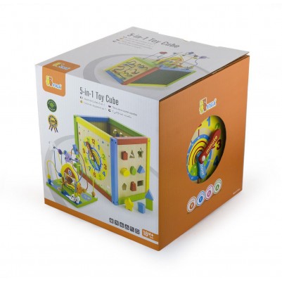 5 In 1 Toy Cube