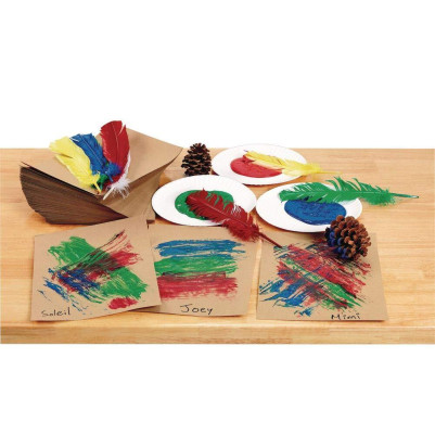 Colorations® Quill Feathers - Set of 24