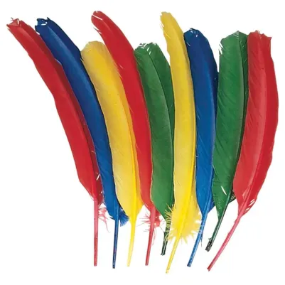 Colorations® Quill Feathers - Set of 24