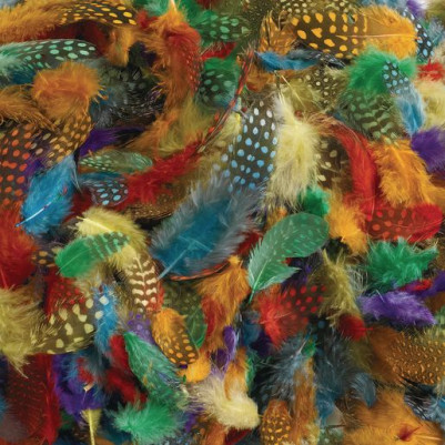Colorations Spotted Feathers Craft Pack 28g
