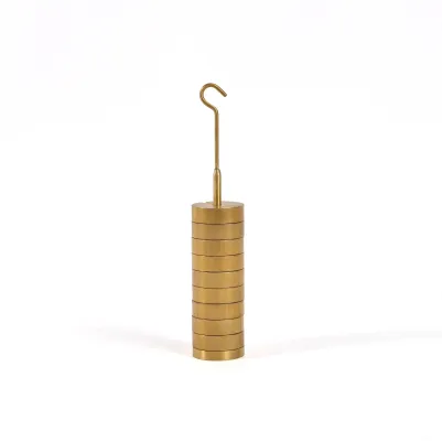 Slotted Mass Set with Hanger - 9 Weights & 1 Hanger, 25g Each - 250g Total - Brass