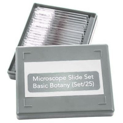 Prepared Microscope Slides Set for Basic Botany