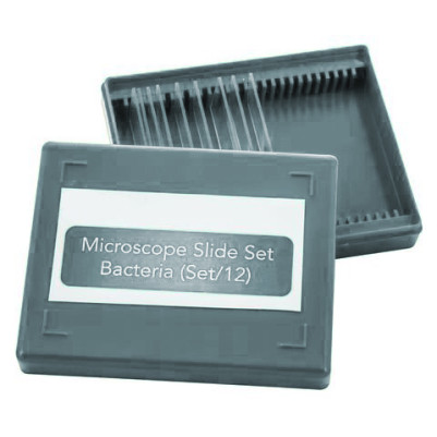 Prepared Microscope Slides Set for Bacteria (12 Pcs)